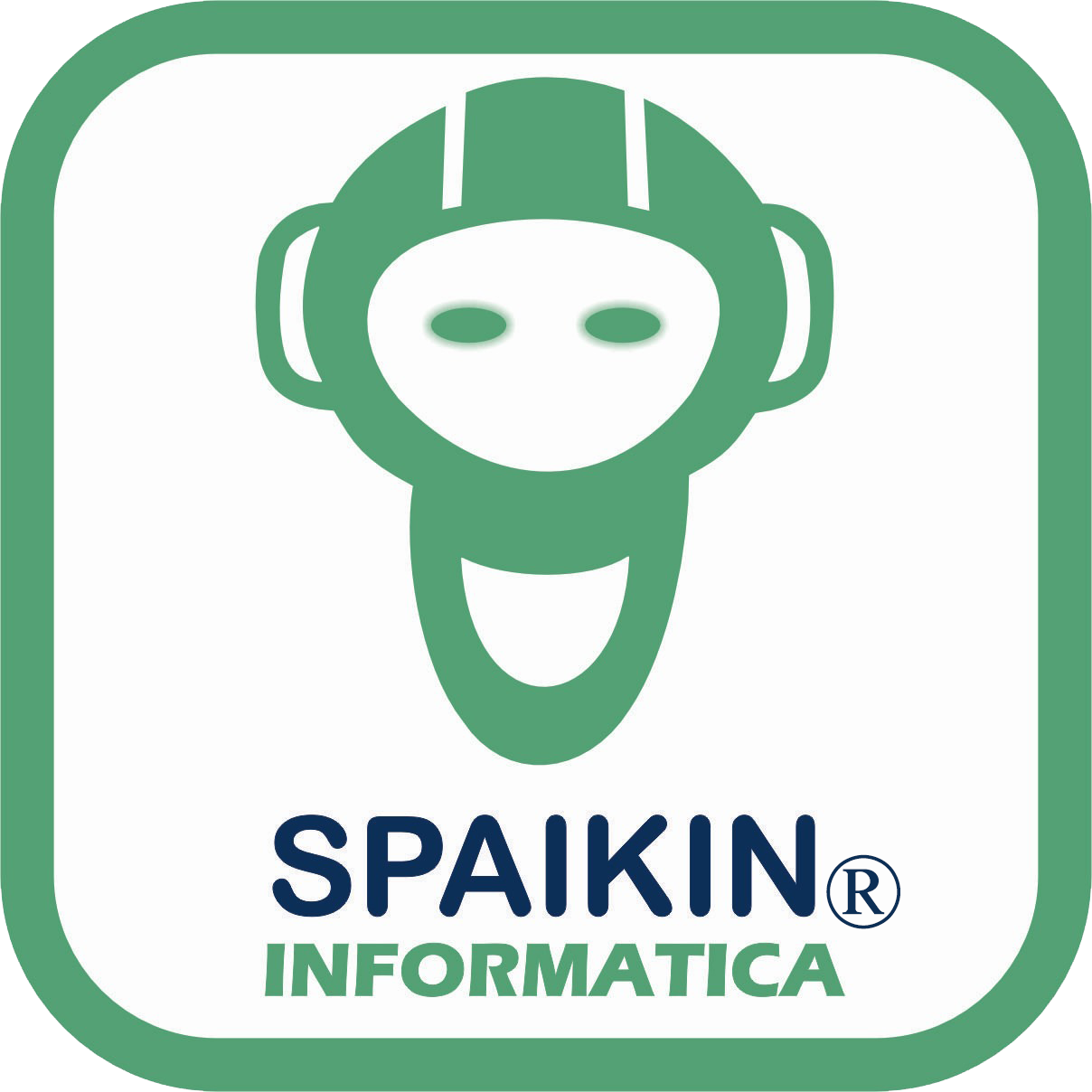 SPAIKIN INFORMÁTICA